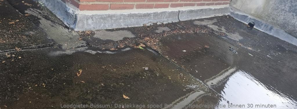 Daklekkage spoed Bussum: Noodreparatie binnen 30 minuten