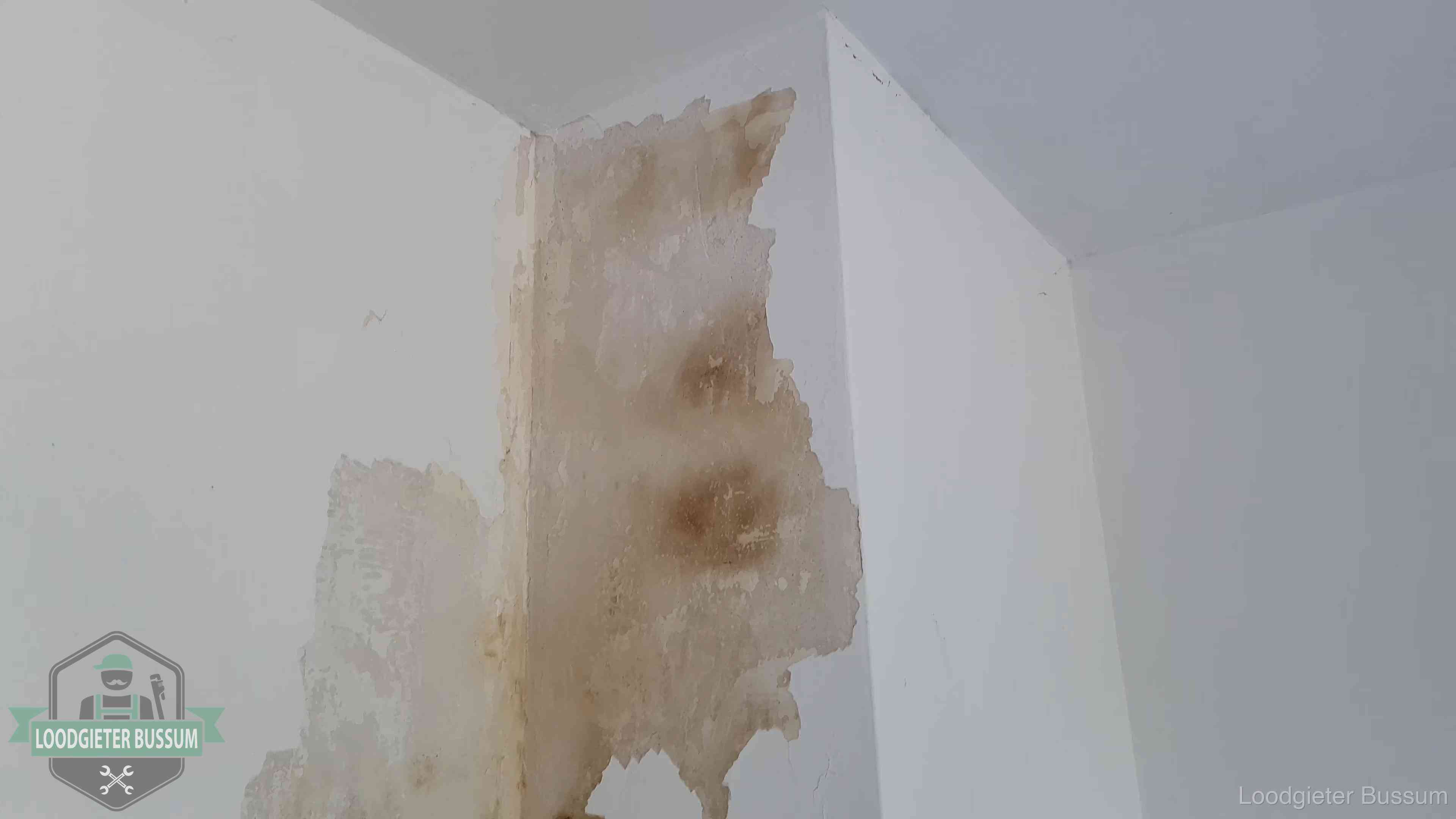 Daklekkage herkennen in Bussum Bruine vochtkringen en afbladderend stucwerk op een binnenmuur in Bussum, een eerste teken van daklekkage