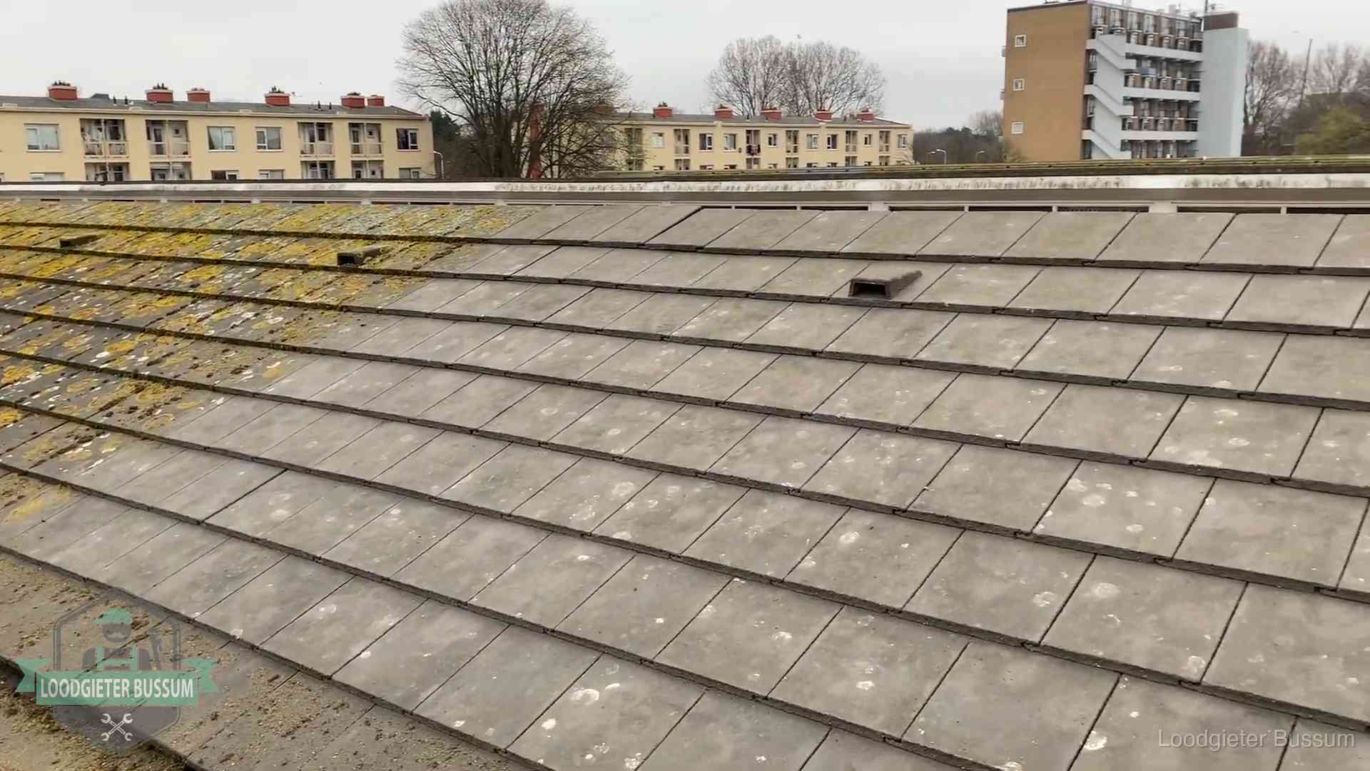 Dakpannen op een schuin dak in Bussum Schuin dak met betonpannen vol mos in Bussum, een risico op lekkage bij de pannen