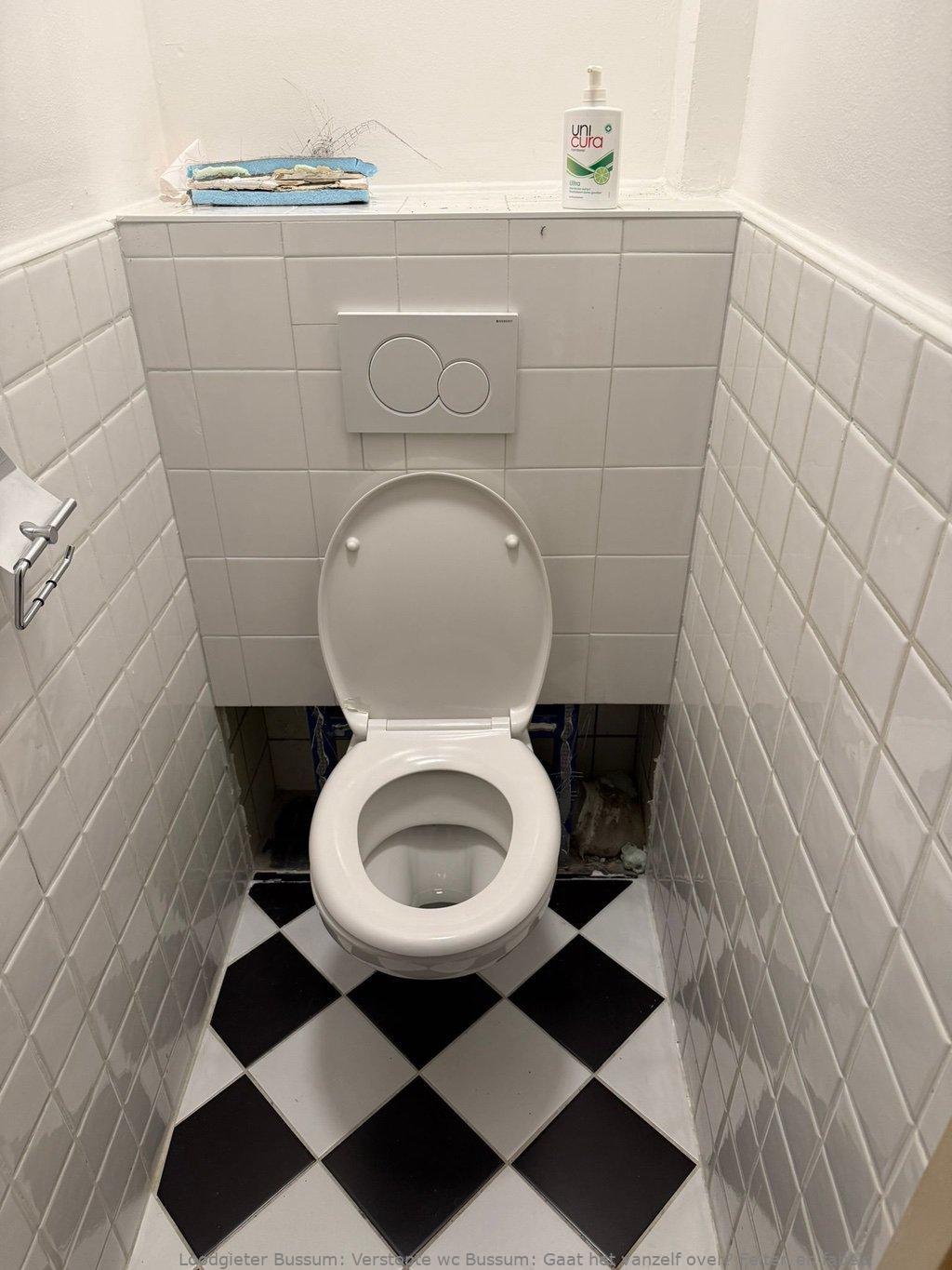 Verstopte wc Bussum: Gaat het vanzelf over? Feiten en fabels
