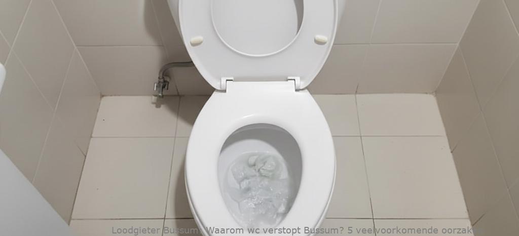 Waarom wc verstopt Bussum? 5 veelvoorkomende oorzaken