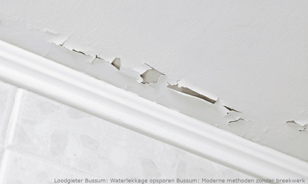 Waterlekkage opsporen Bussum: Moderne methoden zonder breekwerk